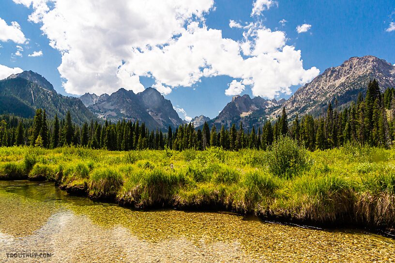  From Mystery Creek # 256 in Idaho.