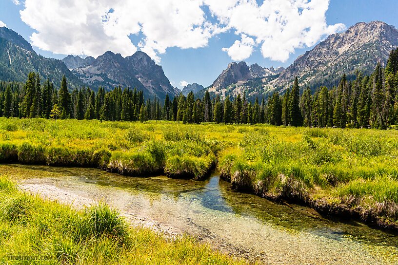  From Mystery Creek # 256 in Idaho.