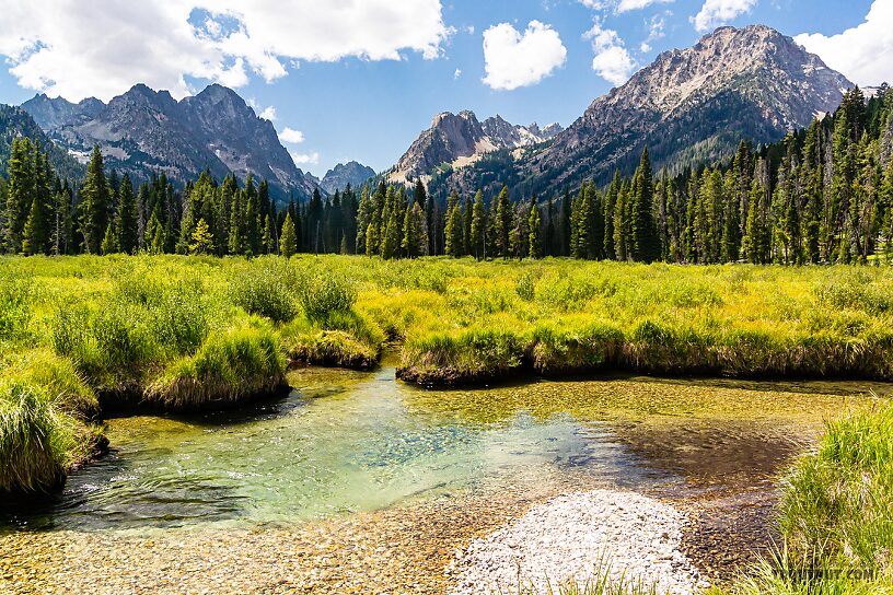  From Mystery Creek # 256 in Idaho.