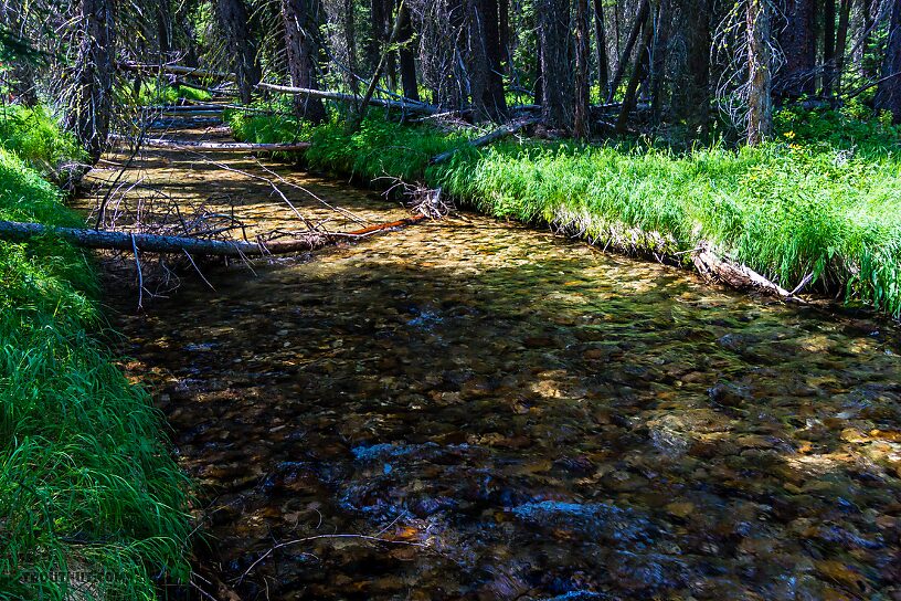  From Mystery Creek # 256 in Idaho.