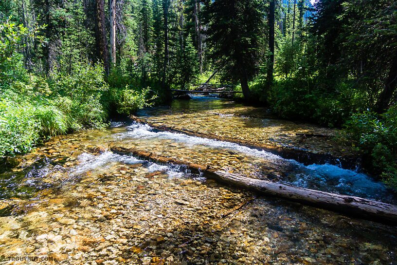  From Mystery Creek # 256 in Idaho.