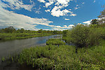  From the Teal River in Wisconsin.