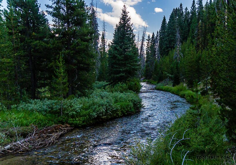  From Valley Creek in Idaho.