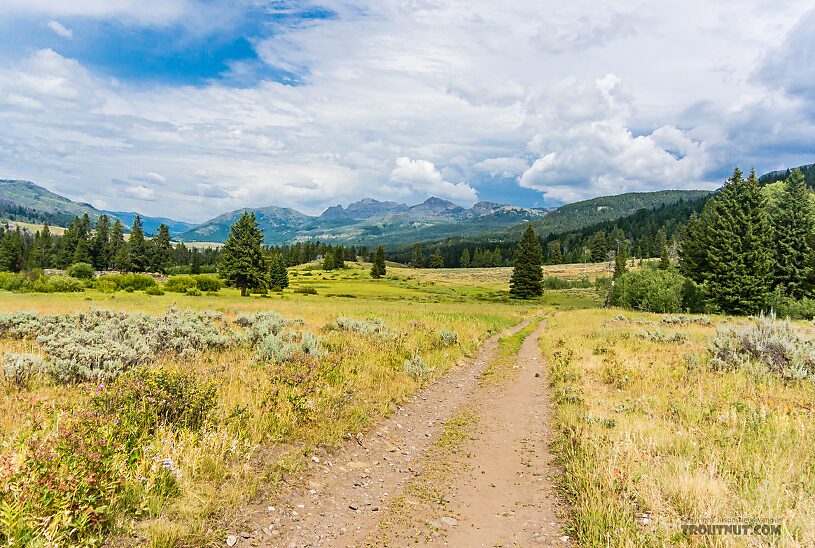  From Slough Creek in Wyoming.