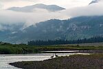 Canada geese and sandhill cranes were all noisily objecting to my presence on Slough Creek. From Slough Creek in Wyoming.