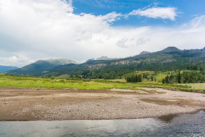  From Slough Creek in Wyoming.