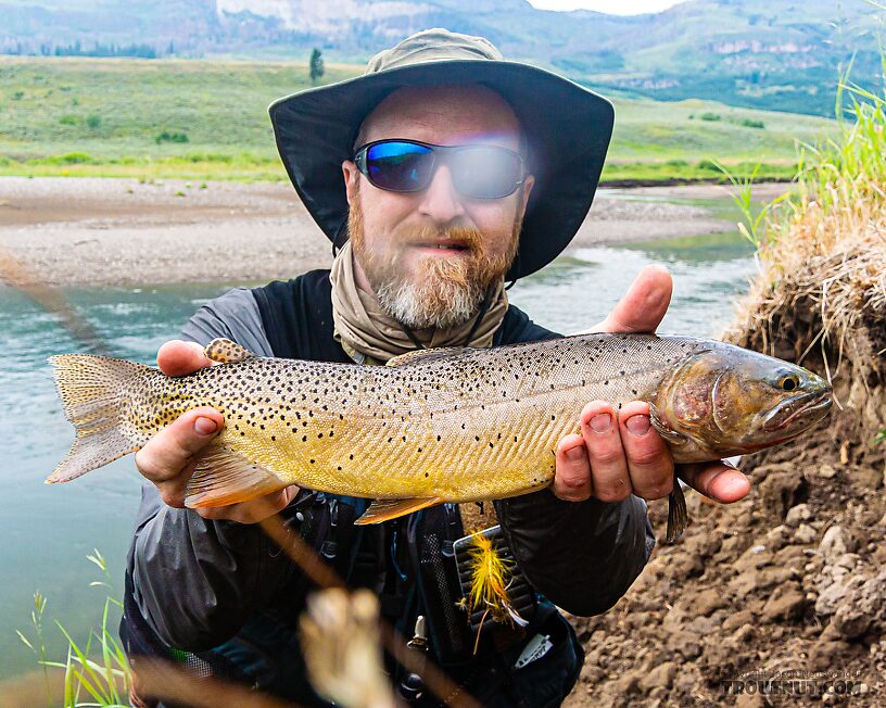  From Slough Creek in Wyoming.