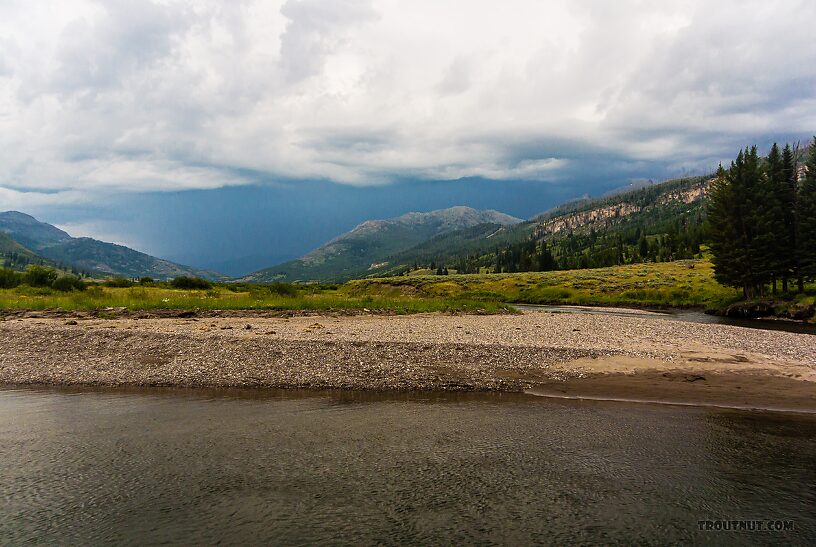  From Slough Creek in Wyoming.