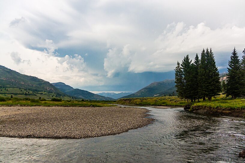  From Slough Creek in Wyoming.