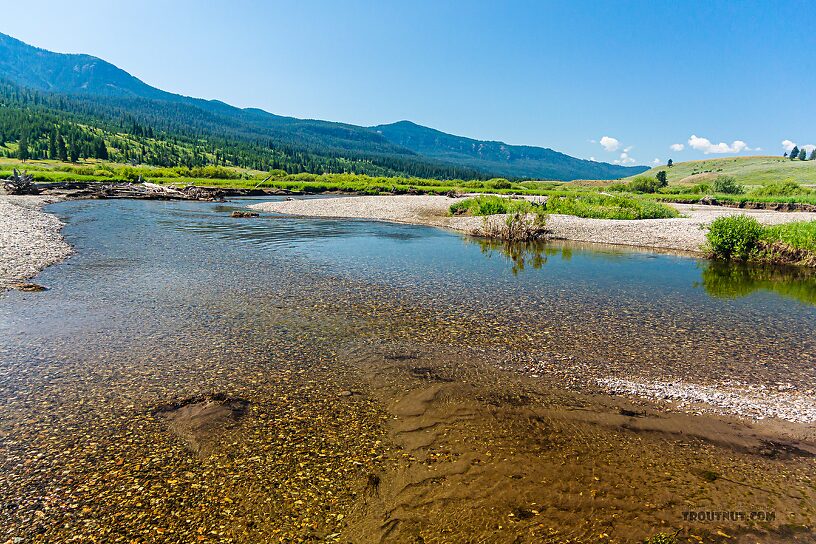  From Slough Creek in Wyoming.