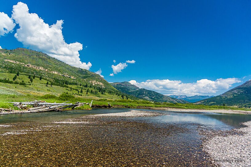  From Slough Creek in Wyoming.