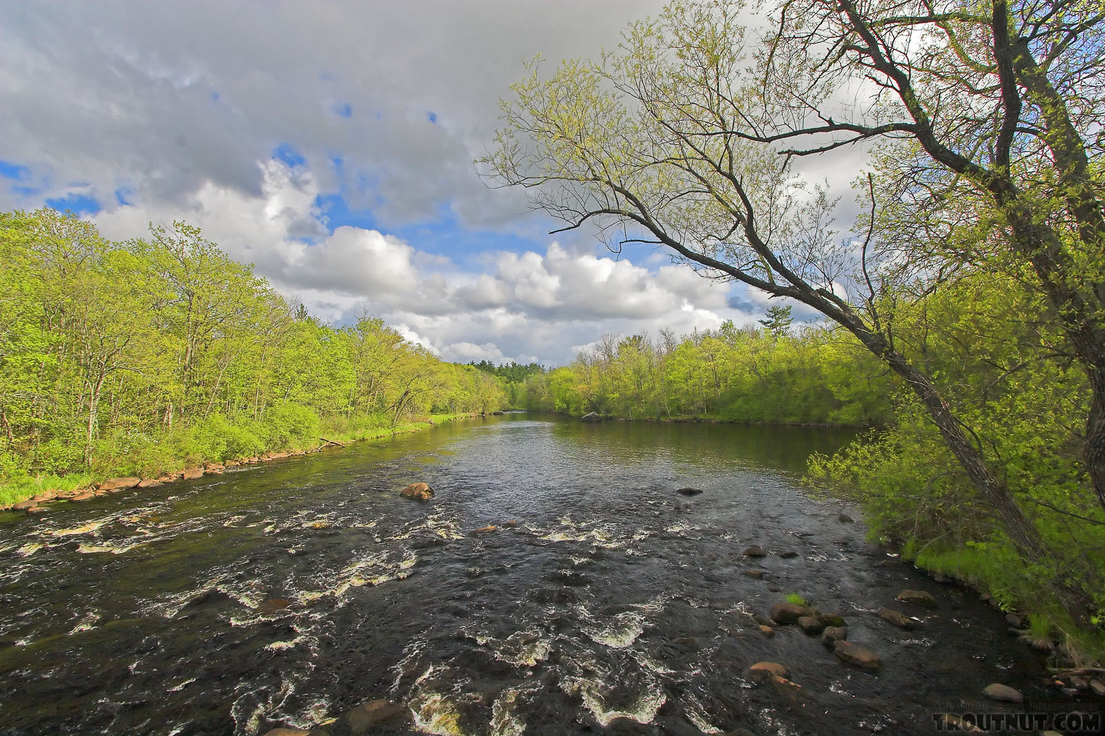  From the West Fork of the Chippewa River in Wisconsin.