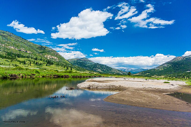  From Slough Creek in Wyoming.