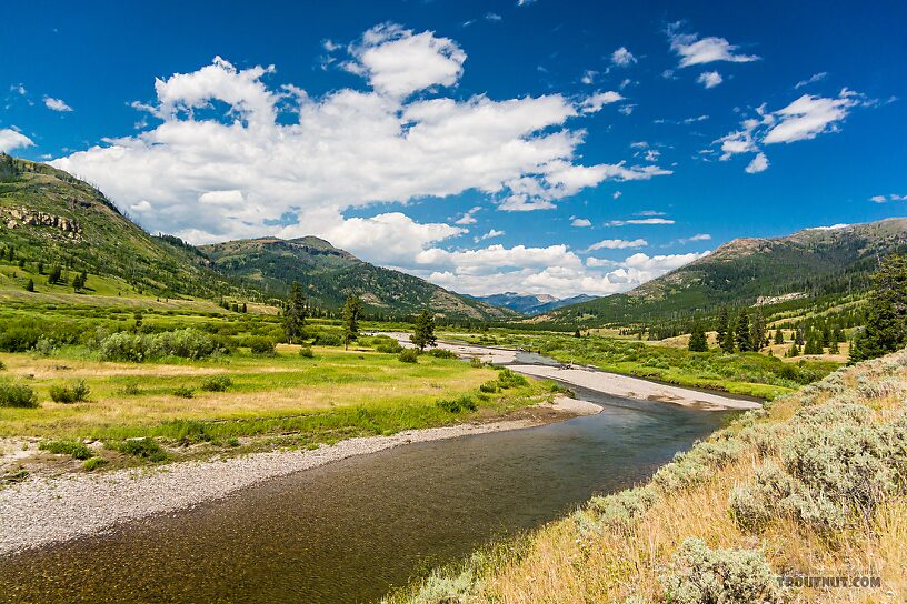  From Slough Creek in Wyoming.