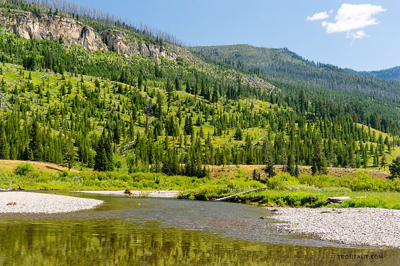  From Slough Creek in Wyoming.