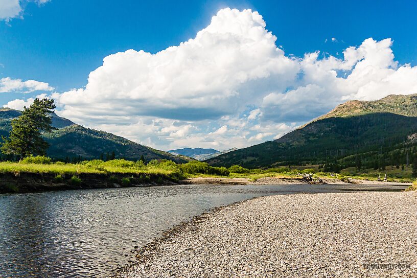  From Slough Creek in Wyoming.