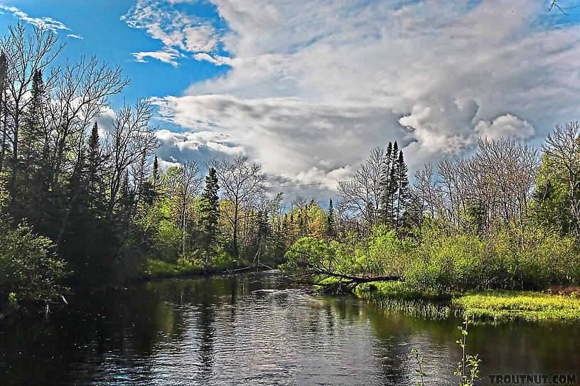  From the Namekagon River in Wisconsin.