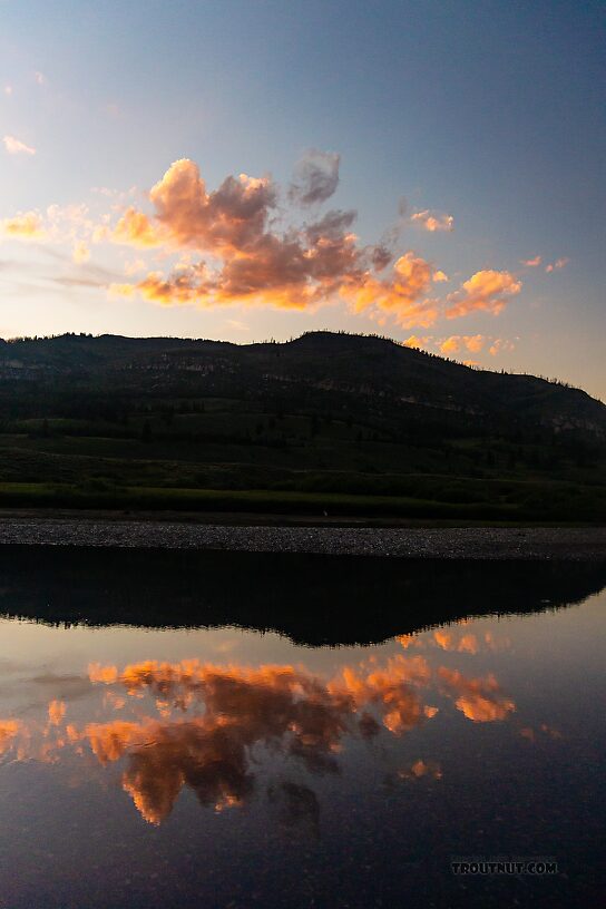  From Slough Creek in Wyoming.