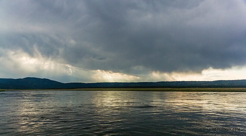  From the Henry's Fork of the Snake River in Idaho.