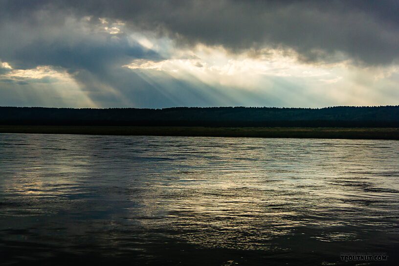  From the Henry's Fork of the Snake River in Idaho.