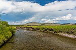  From Mystery Creek # 237 in Montana.