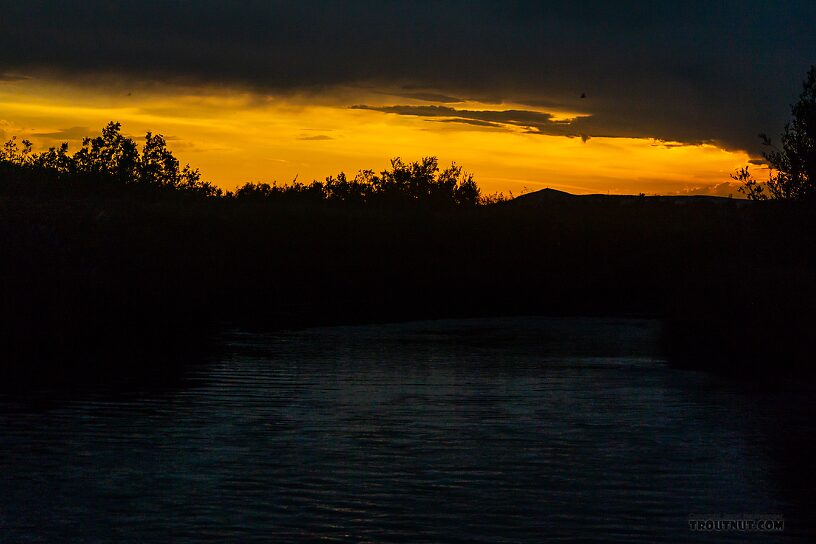  From Mystery Creek # 237 in Montana.