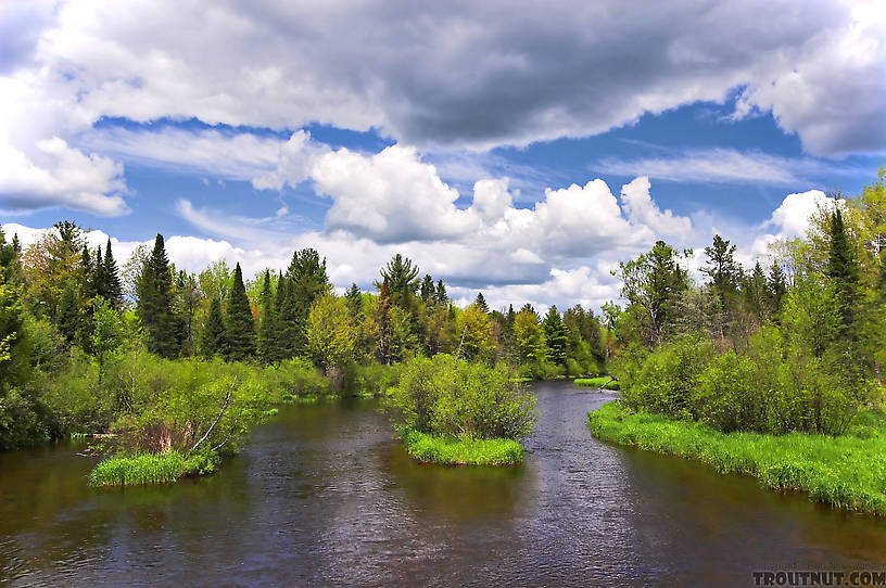 This is one of my favorite pictures of the Namekagon. From the Namekagon River in Wisconsin.