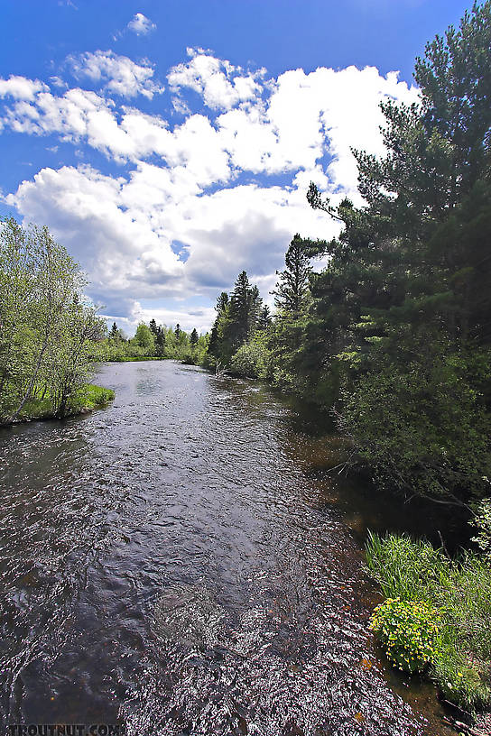  From the Namekagon River in Wisconsin.