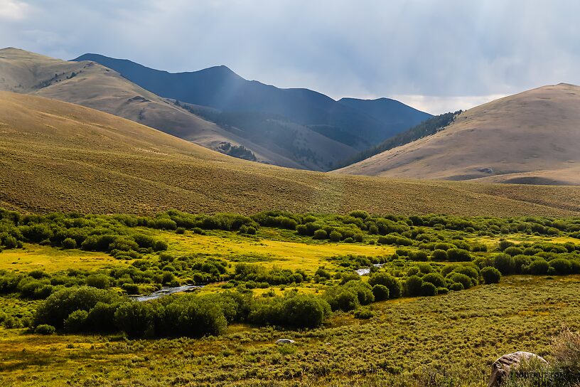  From the East Fork Big Lost River in Idaho.