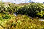  From the East Fork Big Lost River in Idaho.