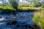  From the East Fork Big Lost River in Idaho.