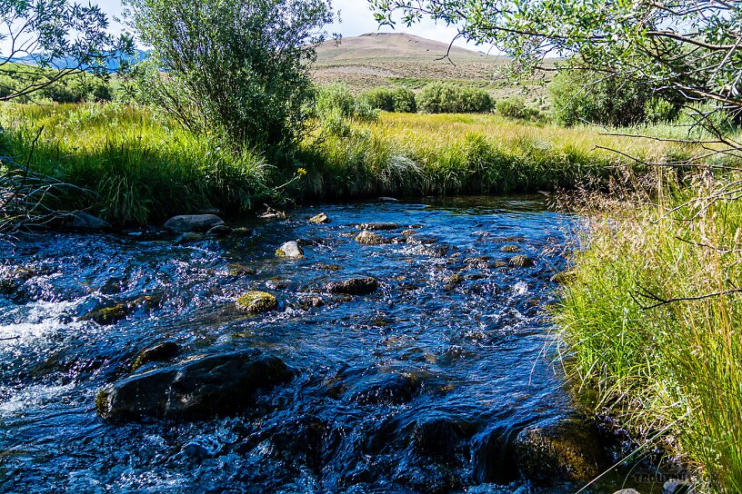  From the East Fork Big Lost River in Idaho.