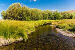  From the East Fork Big Lost River in Idaho.