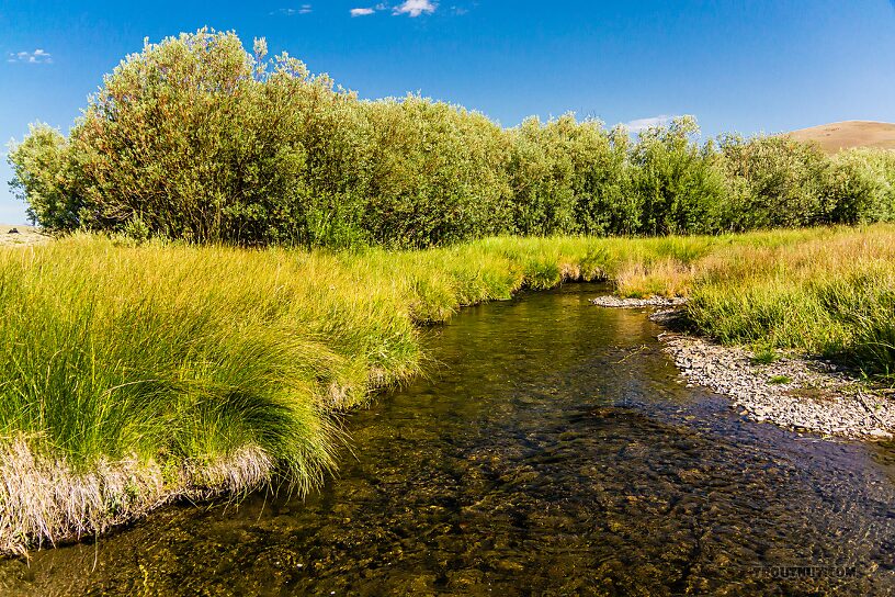  From the East Fork Big Lost River in Idaho.