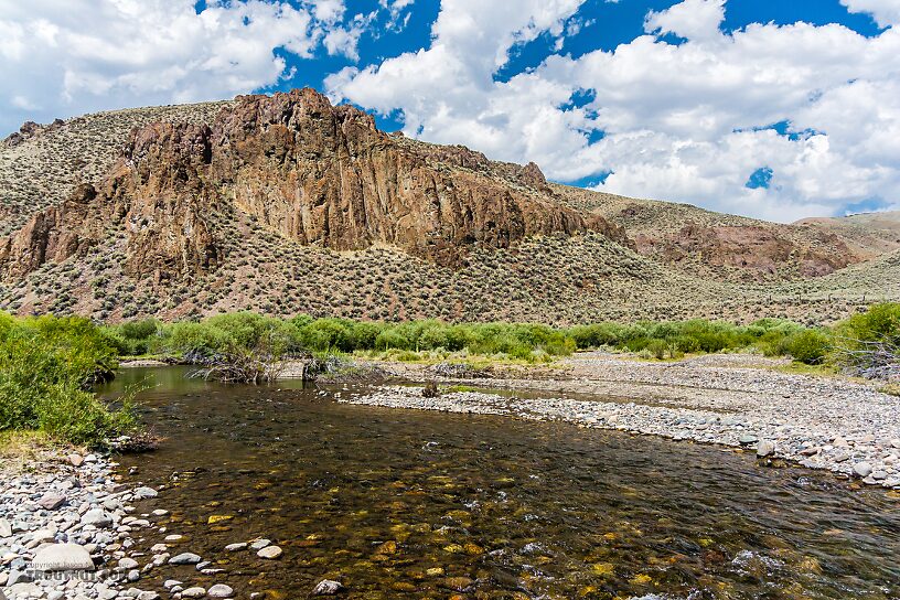  From the East Fork Big Lost River in Idaho.