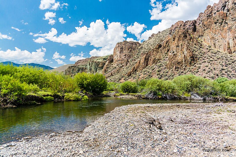  From the East Fork Big Lost River in Idaho.