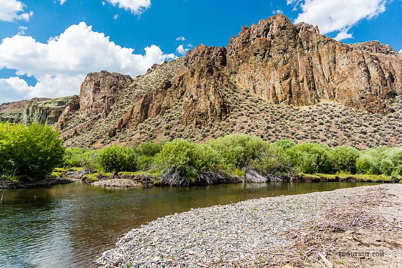  From the East Fork Big Lost River in Idaho.