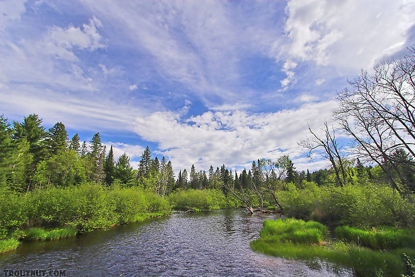  From the Namekagon River in Wisconsin.