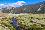  From the North Fork Big Lost River in Idaho.