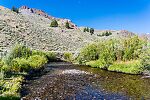  From the North Fork Big Lost River in Idaho.