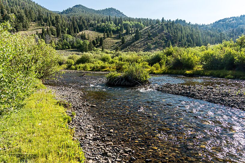  From the North Fork Big Lost River in Idaho.