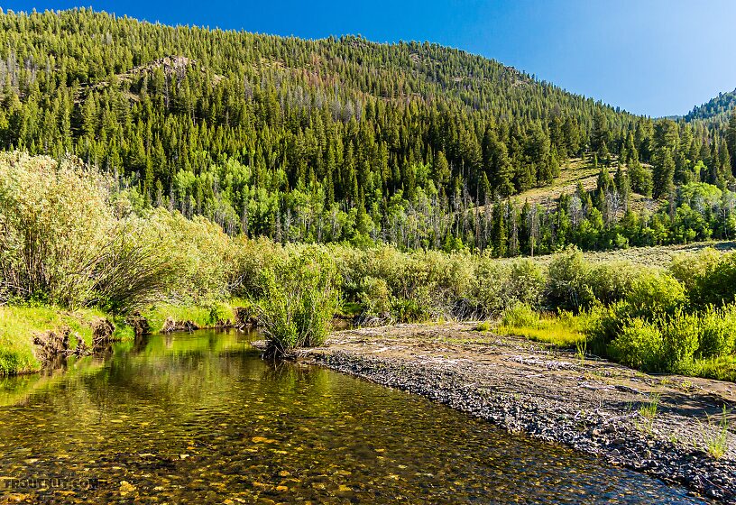  From the North Fork Big Lost River in Idaho.