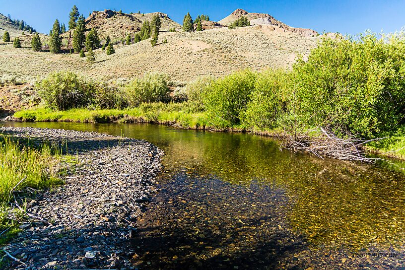  From the North Fork Big Lost River in Idaho.