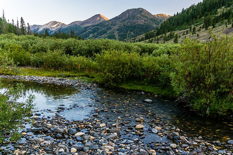  From Star Hope Creek in Idaho.