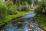  From Star Hope Creek in Idaho.