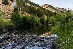  From Squaw Creek in Idaho.