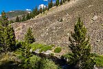  From the Yankee Fork Salmon River in Idaho.