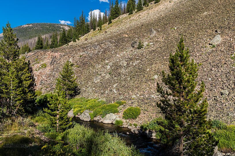  From the Yankee Fork Salmon River in Idaho.