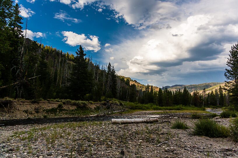  From the Yankee Fork Salmon River in Idaho.