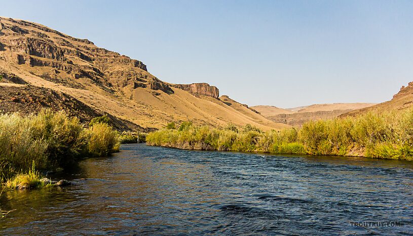  From the Owyhee River in Oregon.